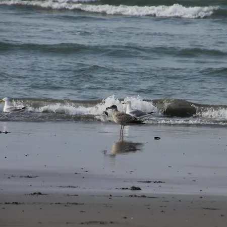 Penthouse Sun Corner