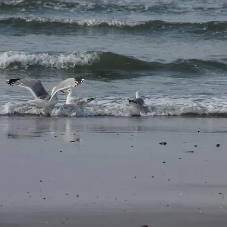 Penthouse Sun Corner Διαμέρισμα *