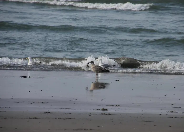 Penthouse Sun Corner