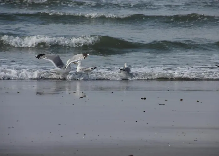 Penthouse Sun Corner Apartamento *